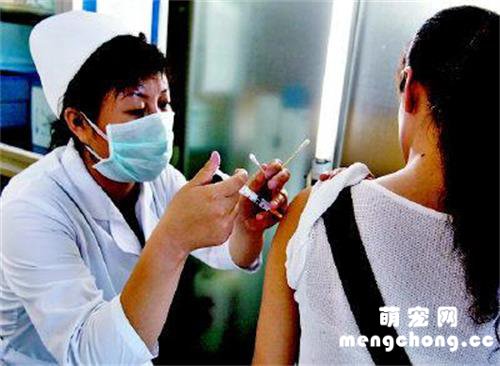 被狗死死咬住了怎样才能最快摆脱?