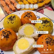 <b>宠物也可以吃年夜饭，8个宠物年夜饭菜谱分</b>