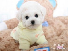狗狗吃了10几颗葡萄干会死吗