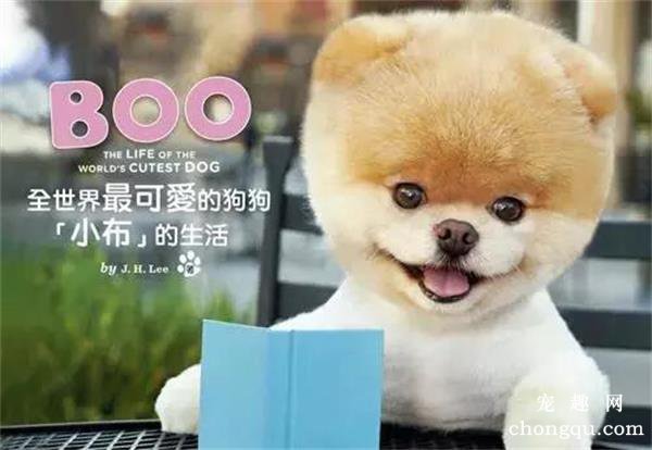狗狗的鼻尖为什么经常是湿乎乎的？
