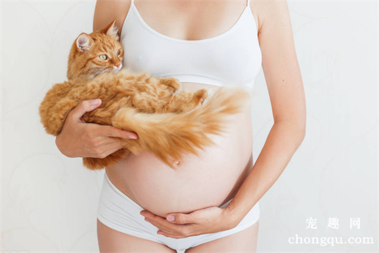 家里有人怀孕可以养猫吗