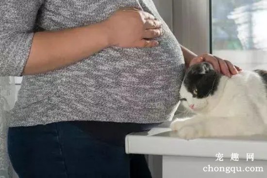 怀孕能养猫吗