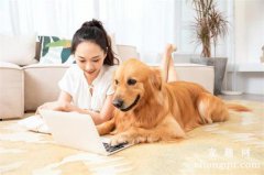 <b>夏季狗狗皮肤病的诊断治疗</b>