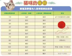 猫的年龄相当于人类多少岁？猫的平均寿命是多少