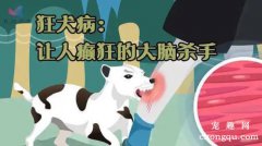 <b>你一定要好好了解狂犬病</b>
