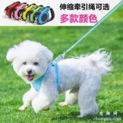 <b>狗狗咬牵引绳 该如何纠正呢</b>