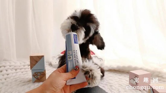 如何挑选小狗营养膏？