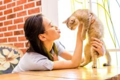 如何防止养猫产生的室内异味？