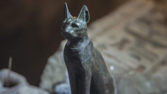 埃及金字塔里的猫，究竟是怎么一回事