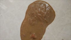 狗拉稀吃什么药