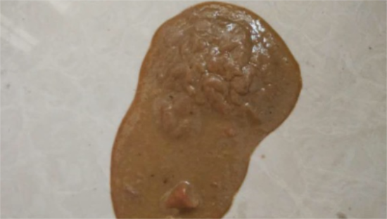 狗拉稀吃什么药