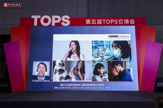 电视萤幕画面AI 生成的内容可能不正确。