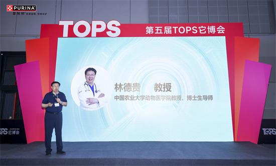 图形用户界面, 网站AI 生成的内容可能不正确。