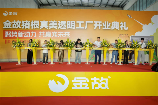 图片4.png