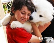宠物给我们带来多少安慰？