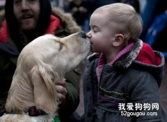养宠物猫狗不宜共眠亲吻