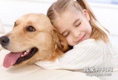 <b>如何让狗狗与小孩和睦相处？</b>