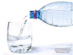 狗狗补水不要喝矿泉水