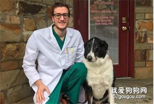 <b>牧羊犬以为散步兴奋冲向森林，结果主人却对它连开6枪…</b>