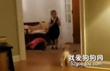 女孩收到了一只叫“金毛”的礼物，她的反应把狗子吓哭了...
