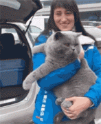 网友在停车场看到一女子抱着一只大猫，是真的大，让人震惊...