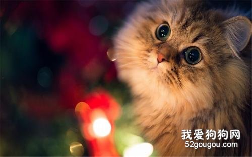 图片3 ``.jpg