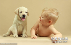 狗狗喝羊奶粉的三大理由，为什么给狗狗喝羊奶粉比较好？