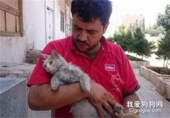 <b>为照顾流浪猫，叙利亚男子放弃逃离战乱城市...</b>