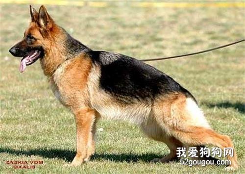 QQ截图20190115143022.jpg QQ截图20190115143022.jpg