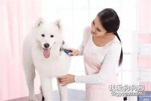 准妈妈也能接种狂犬疫苗了