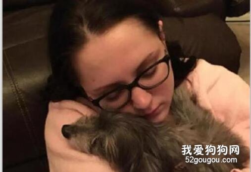 <b>妹子想领养一只狗狗，没想到遇上了七年前被家人送走的爱犬！</b>