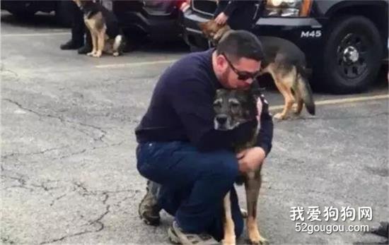 <b>10年警犬生涯，最后离去时训导员抱着它痛哭…</b>
