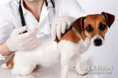 注射狂犬疫苗有什么副作用？