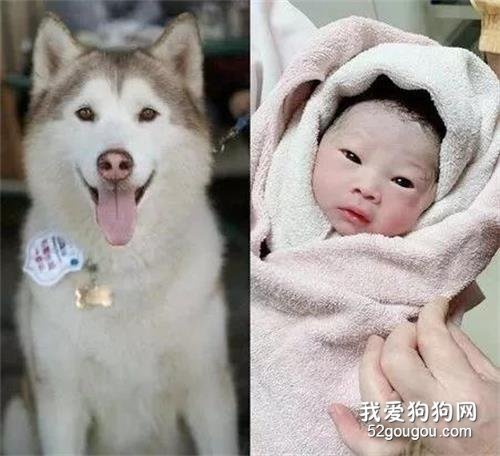<b>和狗狗约定要投胎回来，等女儿出生时，她看了一眼就哭了...</b>