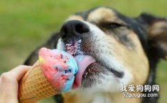 狗狗能吃甜食吗?