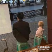 <b>狗子发现被偷拍，它慢慢转过身，超认真的配合着，太可爱了！</b>