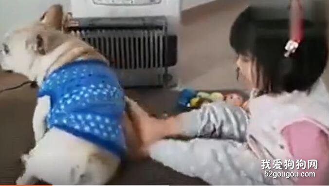 <b>小女孩跟狗狗抢暖炉，最后的结局笑喷了.....</b>