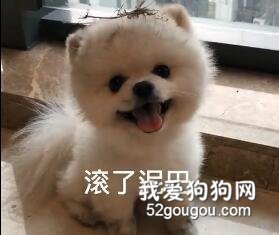 <b>洗不洗澡的无所谓，最主要是喜欢滚泥巴~</b>