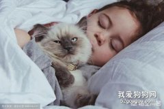 猫不爱主人只爱自己同类，真的吗？