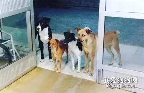 <b>流浪汉因病入院，医院门口出现这样一幕…</b>