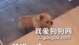 <b>选择和努力一样重要！确定方向，昂首阔步！</b>