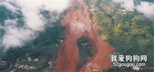 <b>六盘水山体滑坡10余人死亡，20余搜救犬奔赴前线：它们仍在努力…</b>