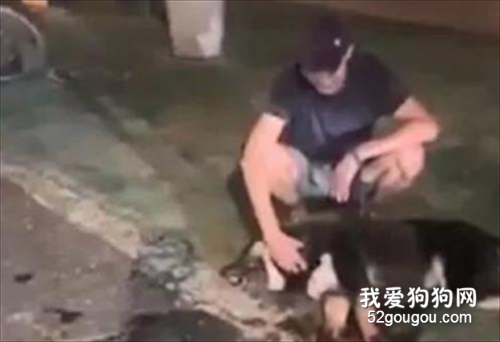 <b>男子用车将狗狗拖死后，还一脸假惺惺的抚摸它</b>