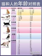  猫出现这些问题就代表老了