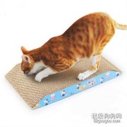 <b>猫玩具有哪些 值得购买的5种玩具</b>