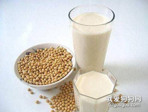 狗可以喝豆浆吗?