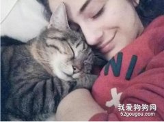 <b>猫咪临终前,我才知道它有多爱我!</b>