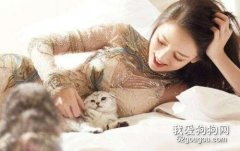 猫咪换主人会难过吗 猫咪的性格也是不同的