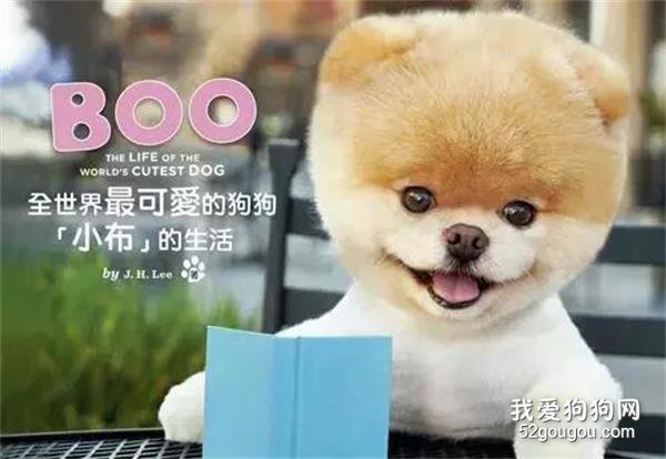 狗狗喜欢啃脚是什么原因 警惕趾间炎!