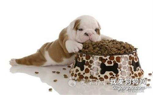 幼犬狗粮怎么泡制营养效果最佳?